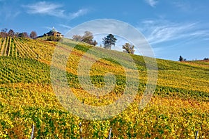 Stuttgart Germany Grabkapelle Vineyards Autumn Fall Season Beaut