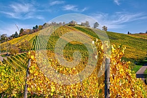 Stuttgart Germany Grabkapelle Vineyards Autumn Fall Season Beaut