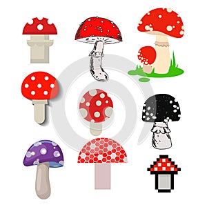 Amanita mushrooms dangerous set poisonous season toxic fungus food illustration.