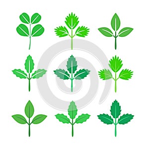 Leaf icon set