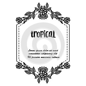 Style vintage frame, decoration flower and leaves, wallpaper background of tropical cards. Vector