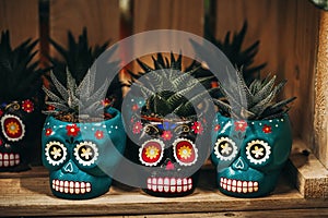 Calaveras Pintadas: The Day of the Dead Skulls photo