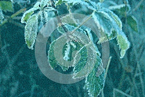 Styled frozen leaf winter