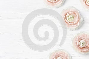 Styled stock photo. Feminine desktop mockup with buttercup flowers, Ranunculus, empty space and shabby white background