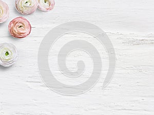 Styled stock photo. Feminine desktop mockup with buttercup flowers, Ranunculus, empty space and shabby white background
