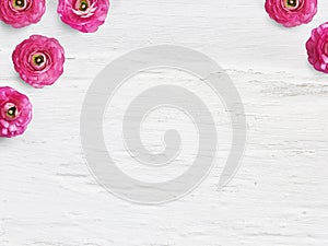 Styled stock photo. Feminine desktop mockup with buttercup flowers, Ranunculus, empty space and shabby white background