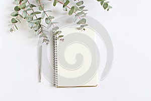 Styled stock photo. Feminine desktop mockup scene with green eucalyptus leaves, ballpoint pen and blank notebook