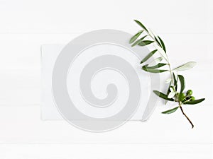 Styled stock photo. Feminine wedding desktop mockup with green olive branch and white empty paper card. Foliage