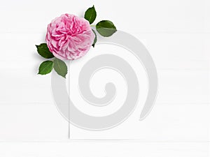 Styled stock photo. Feminine wedding desktop mockup with pink English rose flower and white empty paper card. Floral