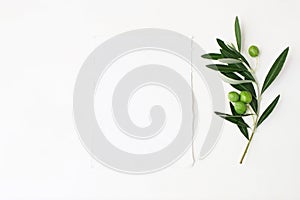 Styled stock photo. Feminine wedding desktop mockup scene with green olive branch and white empty vertical paper card