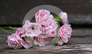 Styled stock photo. Spring feminine scene, floral composition. Decorative banner made of beautiful pink roses flowers on