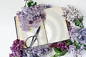 Styled stock photo. Spring feminine scene, floral composition. Decorative frame of beautiful purple and white lilac
