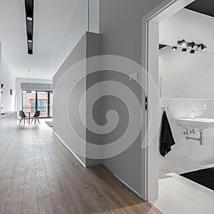 Stylish apartment corridor and bathroom
