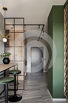 Stylish apartment interior with modern kitchen