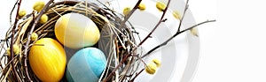 Stylish background with colorful Easter eggs on white with space to copy willow branches. The concept of Easter