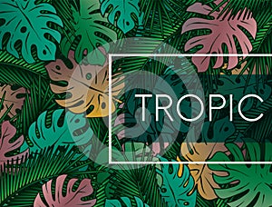 Stylish background with palm leaves. Beautiful concept design of a tropical poster, banner, cover or postcard. Vector illustration