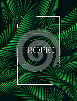 Stylish background with palm leaves. Beautiful concept design of a tropical poster, banner, cover or postcard. Vector illustration