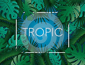 Stylish background with palm leaves. Beautiful concept design of a tropical poster, banner, cover or postcard. Vector illustration