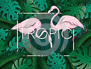 Stylish background with palm leaves. Beautiful concept design of a tropical poster, banner, cover or postcard. Vector illustration