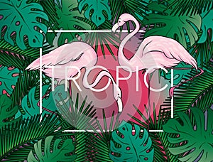 Stylish background with palm leaves. Beautiful concept design of a tropical poster, banner, cover or postcard. Vector illustration