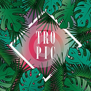 Stylish background with palm leaves. Beautiful concept design of a tropical poster, banner, cover or postcard. Vector illustration