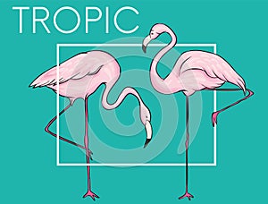 Stylish background with palm leaves. Beautiful concept design of a tropical poster, banner, cover or postcard. Vector illustration