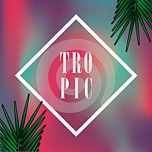 Stylish background with palm leaves. Beautiful concept design of a tropical poster, banner, cover or postcard. Vector illustration