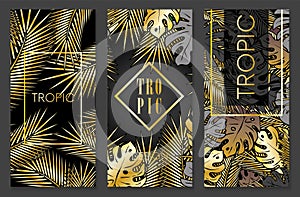 Stylish background with palm leaves. Beautiful concept design of a tropical poster, banner, cover or postcard. Vector illustration