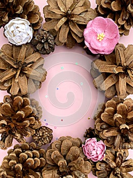 Stylish background with pine cones on pink copy space for text. seasonal holidays concept
