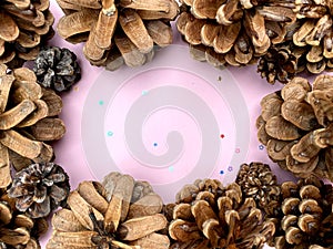 Stylish background with pine cones on pink copy space for text. seasonal holidays concept