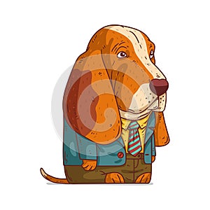 A Stylish Basset Hound, isolated vector illustration. Funny cartoon picture of a dog wearing a suit