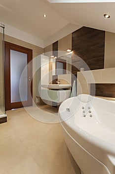 Stylish bathroom