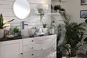 Stylish bathroom interior with vessel sink and beautiful plants