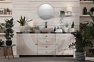 Stylish bathroom interior with vessel sink and beautiful plants