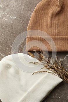 Stylish beanies and field plants on gray background