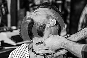 Stylish bearded man in barber shop. New perfect style. Beard styling and cut