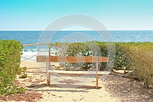 Stylish beautiful bench on nature near the sea background