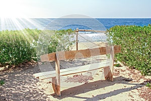 Stylish beautiful bench on nature near the sea background