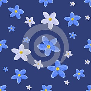 Forget-me-not