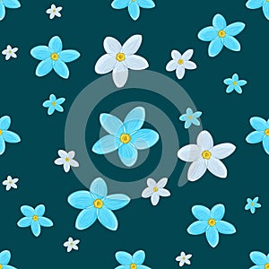 Forget-me-not