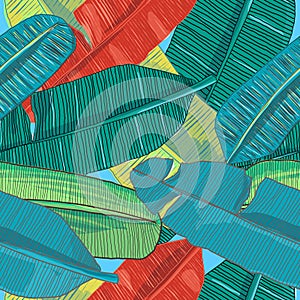 Stylish and beautiful hawaiian tropical palm and banana leaves seamless pattern vector