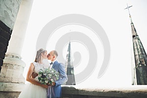 Stylish beautiful wedding couple kissing and hugging on background panoramic view of the old town