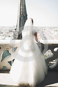 Stylish beautiful wedding couple kissing and hugging on background panoramic view of the old town