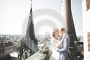 Stylish beautiful wedding couple kissing and hugging on background panoramic view of the old town