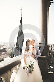 Stylish beautiful wedding couple kissing and hugging on background panoramic view of the old town