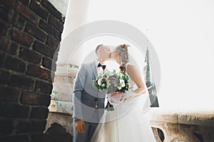 Stylish beautiful wedding couple kissing and hugging on background panoramic view of the old town