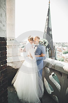 Stylish beautiful wedding couple kissing and hugging on background panoramic view of the old town