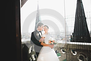 Stylish beautiful wedding couple kissing and hugging on background panoramic view of the old town