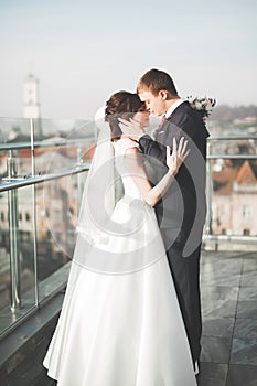 Stylish beautiful wedding couple kissing and hugging on background panoramic view of the old town