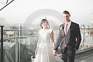 Stylish beautiful wedding couple kissing and hugging on background panoramic view of the old town